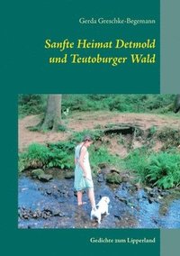 bokomslag Sanfte Heimat Detmold und Teutoburger Wald