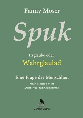 bokomslag Spuk. Irrglaube oder Wahrglaube?