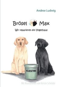 bokomslag Broesel & Max