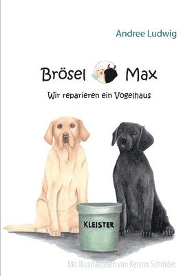 bokomslag Brsel & Max