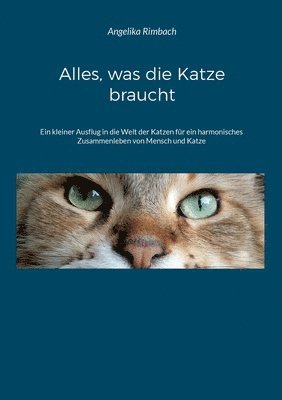 bokomslag Alles, was die Katze braucht