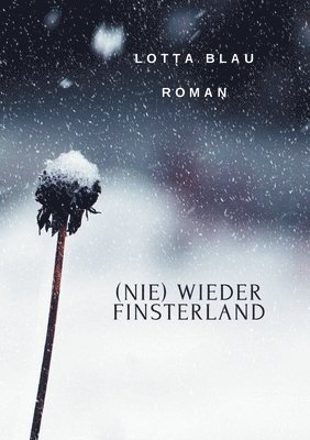 (Nie) Wieder Finsterland