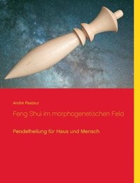 bokomslag Feng Shui im morphogenetischen Feld