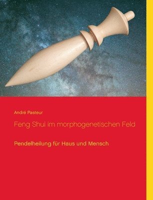 André Pasteur, André - Feng Shui im morphogenetischen Feld, Häftad