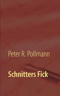 bokomslag Schnitters Fick