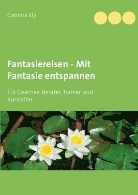 bokomslag Fantasiereisen - Mit Fantasie entspannen