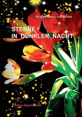 Sterne in dunkler Nacht 1