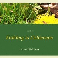 bokomslag Frühling in Ochtersum