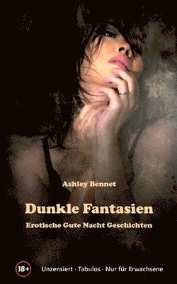 Ashley Bennet - Dunkle Fantasien, Häftad