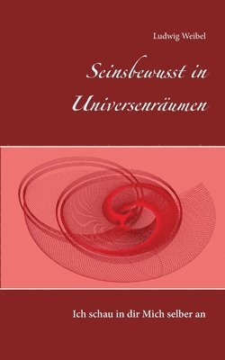 bokomslag Seinsbewusst in Universenräumen