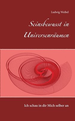 bokomslag Seinsbewusst in Universenrumen