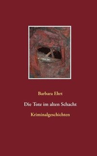 bokomslag Tote im alten Schacht