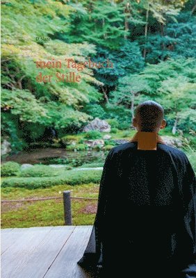 D Slaze, D. Slaze - mein Tagebuch der Stille, Häftad