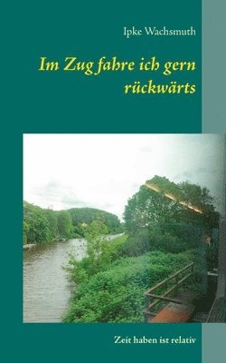 Ipke Wachsmuth - Im Zug fahre ich gern rückwärts, Häftad