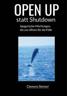 bokomslag OPEN UP statt Shutdown