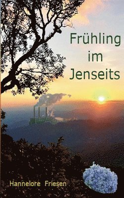 bokomslag Frühling im Jenseits