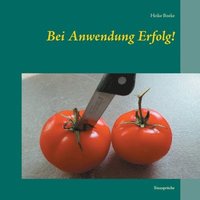 bokomslag Bei Anwendung Erfolg!