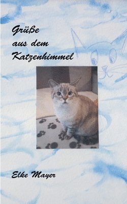 Elke Mayer - Grüße aus dem Katzenhimmel, Häftad