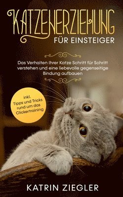 bokomslag Katzenerziehung für Einsteiger