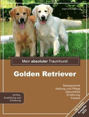 bokomslag Mein absoluter Traumhund