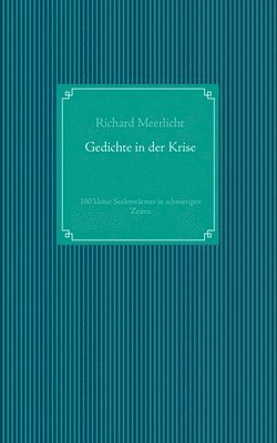 Richard Meerlicht - Gedichte in der Krise, Häftad