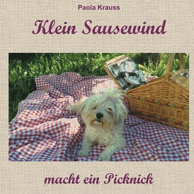 Klein Sausewind macht ein Picknick 1