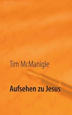 bokomslag Aufsehen zu Jesus