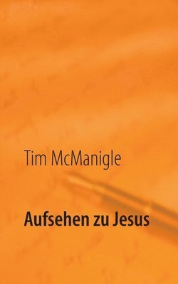Tim McManigle - Aufsehen zu Jesus, Häftad
