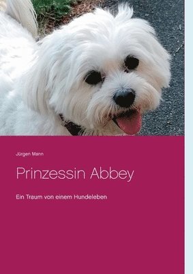 Prinzessin Abbey 1