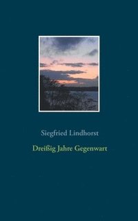 bokomslag Dreißig Jahre Gegenwart