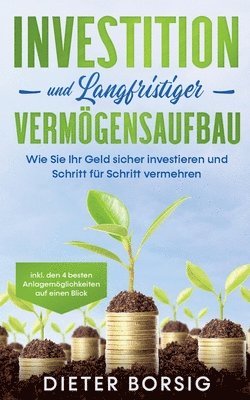 bokomslag Investition und langfristiger Vermgensaufbau