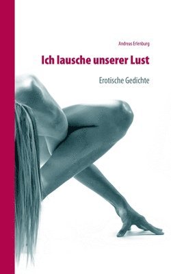 bokomslag Ich lausche unserer Lust