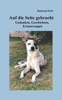 bokomslag Auf die Seite gebracht: Gedanken, Geschichten, Erinnerungen