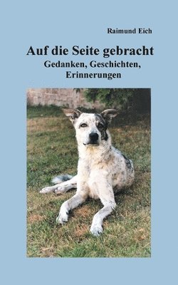 bokomslag Auf die Seite gebracht: Gedanken, Geschichten, Erinnerungen