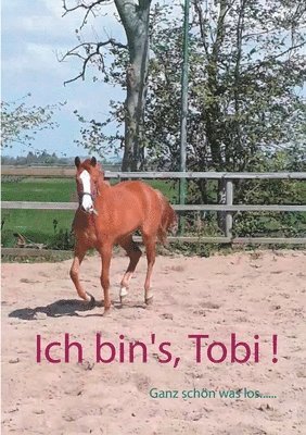 bokomslag Ich bin's, Tobi !