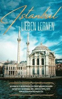 bokomslag Istanbul lieben lernen