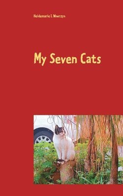 My Seven Cats 1