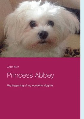 Princess Abbey 1