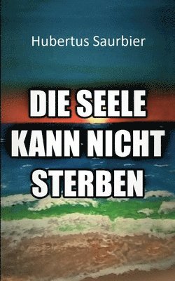 bokomslag Seele kann nicht sterben