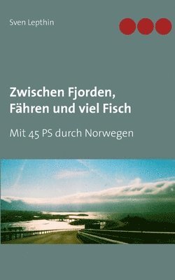 bokomslag Zwischen Fjorden, Fähren und viel Fisch
