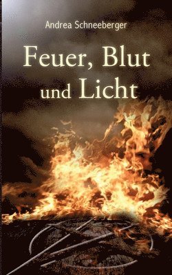 bokomslag Feuer, Blut und Licht