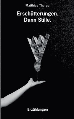Matthias Thurau - Erschütterungen. Dann Stille., Häftad