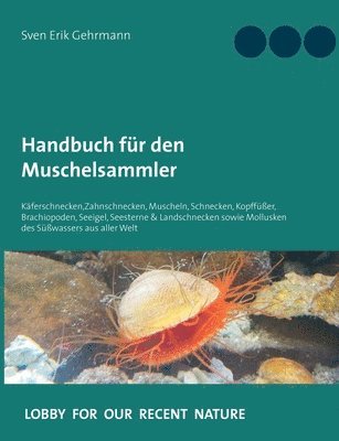 Sven Erik Gehrmann - Handbuch für den Muschelsammler, Häftad