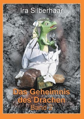 bokomslag Das Geheimnis des Drachen