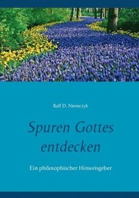 bokomslag Spuren Gottes entdecken