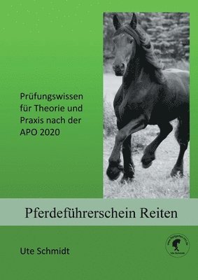 Ute Schmidt - Pferdeführerschein Reiten, Häftad