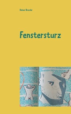 bokomslag Fenstersturz