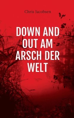 Down and out am Arsch der Welt 1