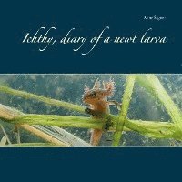 bokomslag Ichthy, diary of a newt larva