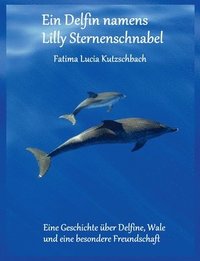 bokomslag Ein Delfin namens Lilly Sternenschnabel